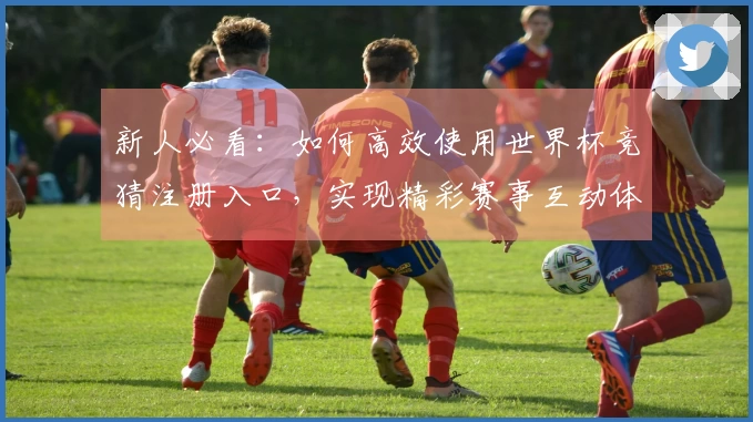 新人必看：如何高效使用世界杯竞猜注册入口，实现精彩赛事互动体验