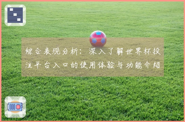 综合表现分析：深入了解世界杯投注平台入口的使用体验与功能介绍