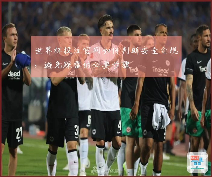 世界杯投注官网如何判断安全合规，避免踩雷的必要步骤