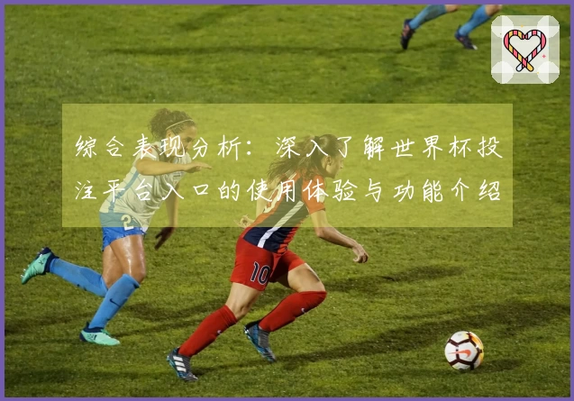 综合表现分析：深入了解世界杯投注平台入口的使用体验与功能介绍