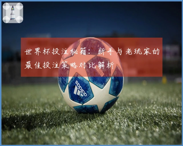 世界杯投注秘籍：新手与老玩家的最佳投注策略对比解析