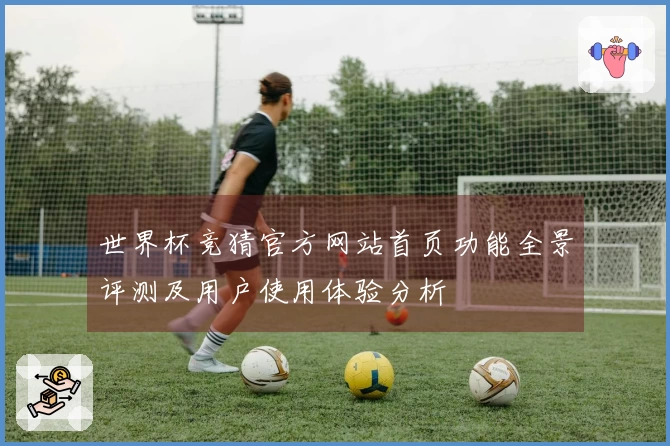 世界杯竞猜官方网站首页功能全景评测及用户使用体验分析