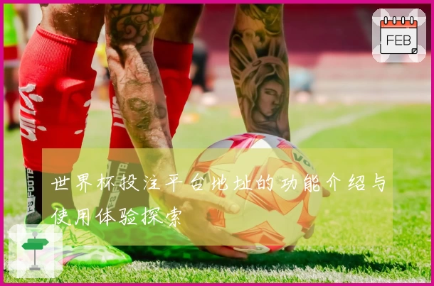 世界杯投注平台地址的功能介绍与使用体验探索