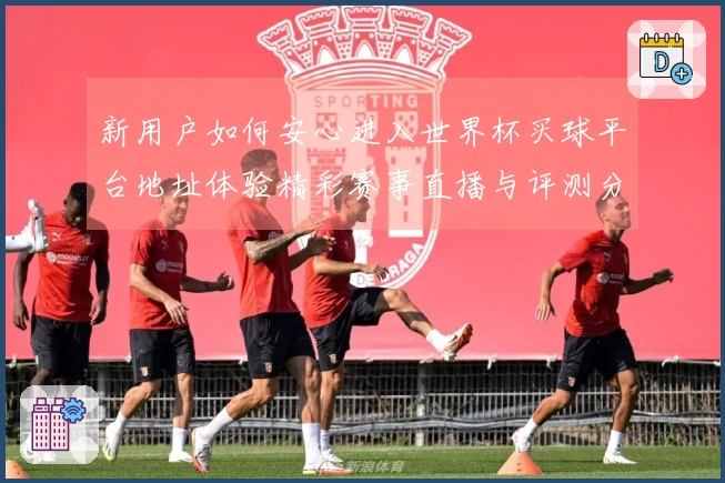 新用户如何安心进入世界杯买球平台地址体验精彩赛事直播与评测分享