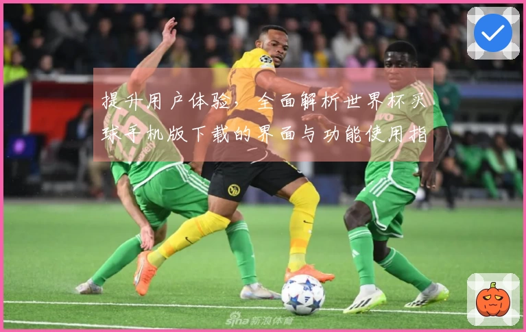 提升用户体验，全面解析世界杯买球手机版下载的界面与功能使用指南