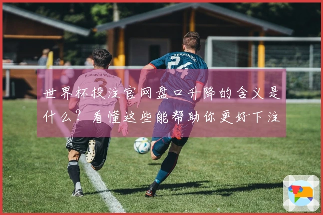 世界杯投注官网盘口升降的含义是什么？看懂这些能帮助你更好下注