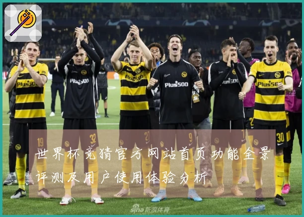 世界杯竞猜官方网站首页功能全景评测及用户使用体验分析