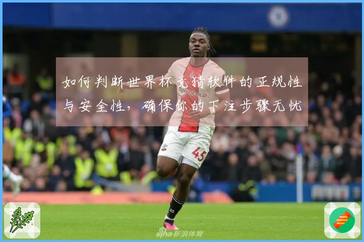 如何判断世界杯竞猜软件的正规性与安全性，确保你的下注步骤无忧