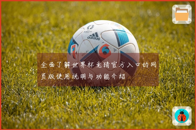 全面了解世界杯竞猜官方入口的网页版使用说明与功能介绍