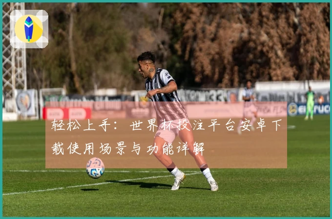 轻松上手:世界杯投注平台安卓下载使用场景与功能详解